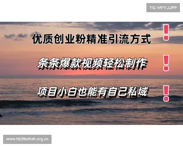 社交媒体赢家秘籍:打造爆款内容,吸粉引流无极限 社交媒体赢家秘籍:打造爆款内容,吸粉引流无极限