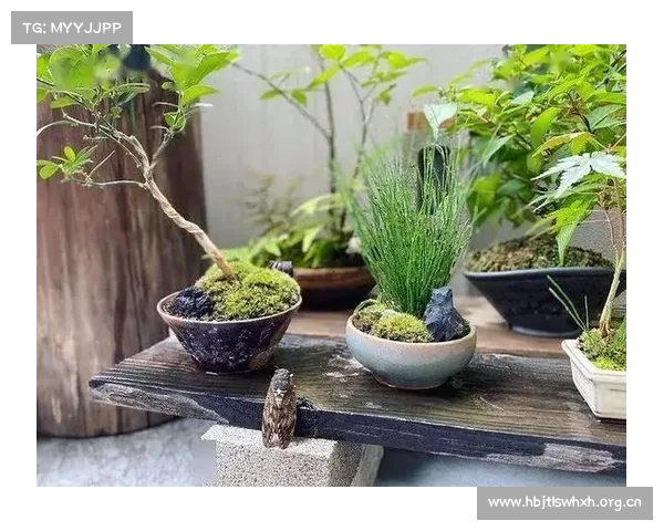 种树种花攻略—种树小技巧:新手必备:种花种树全攻略,轻松打造绿色家园 种树种花攻略—种树小技巧:新手必备:种花种树全攻略,轻松打造绿色家园